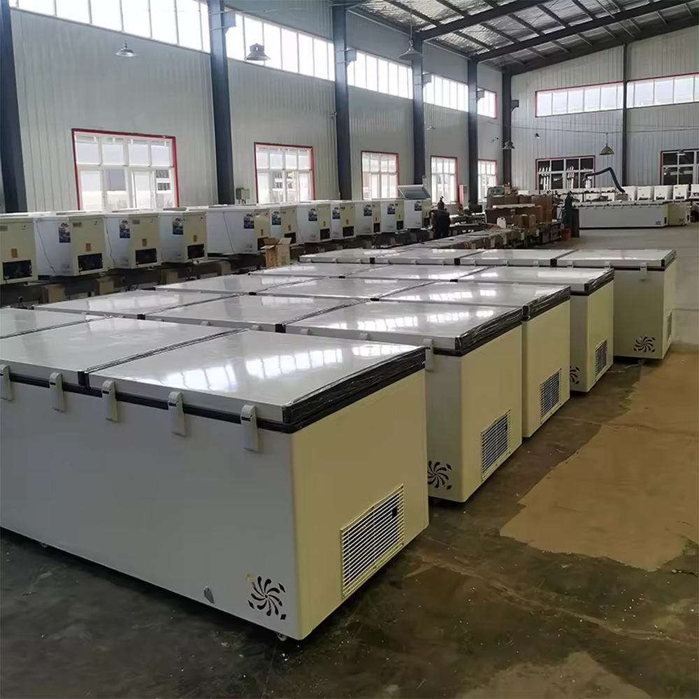 Commercial Chest Deep Freezer  - Commercial Chest Freezer ulasan dan harga