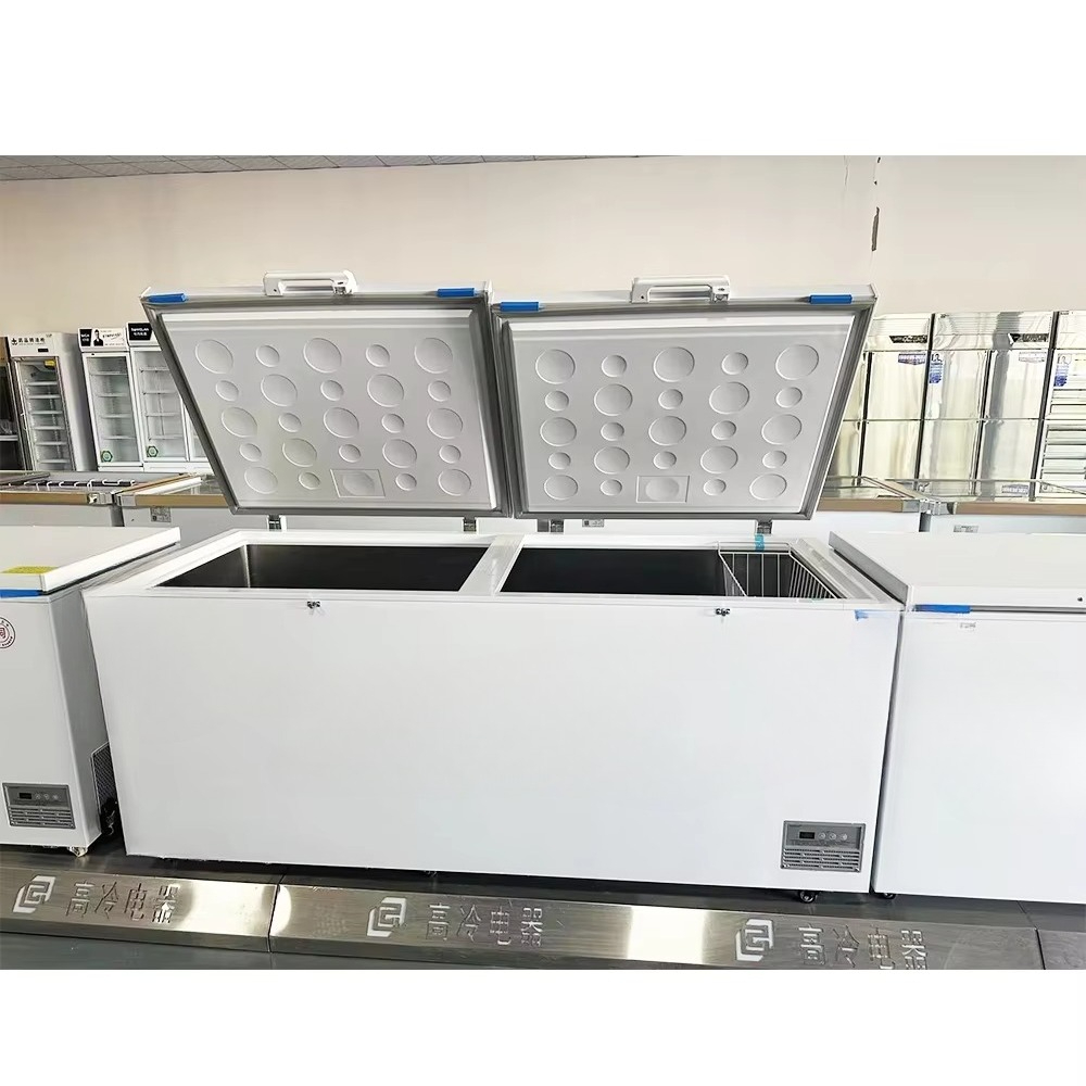 Commercial Chest Deep Freezer  - Commercial Chest Freezer ulasan dan harga