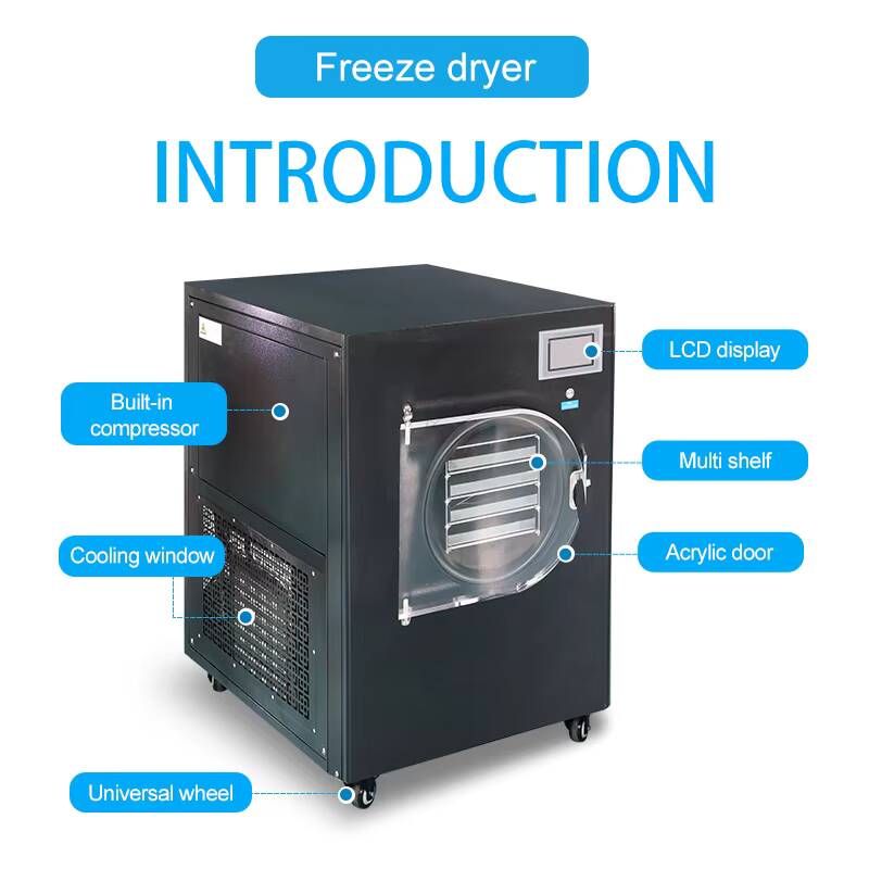 -80°C 6kg/batch Manifold Labor - Vacuum Sealer ulasan dan harga