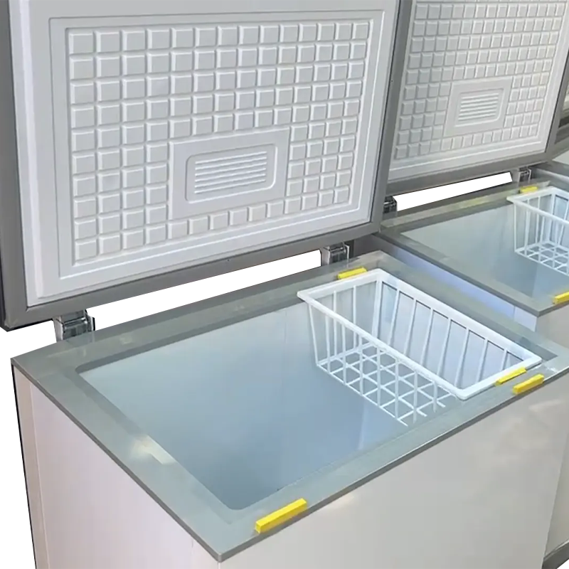 100~300 Liters Small Capacity  - Commercial Chest Freezer ulasan dan harga